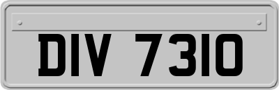 DIV7310