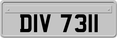 DIV7311