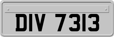 DIV7313