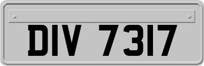 DIV7317
