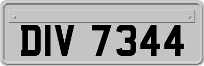 DIV7344