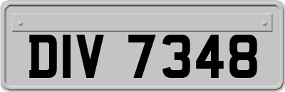 DIV7348