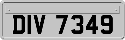 DIV7349
