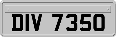 DIV7350
