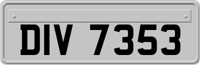 DIV7353