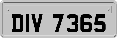DIV7365
