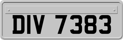 DIV7383