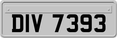 DIV7393