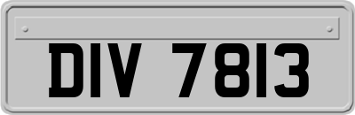 DIV7813