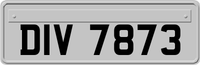 DIV7873