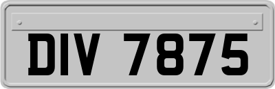 DIV7875