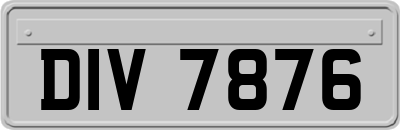 DIV7876