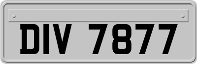 DIV7877