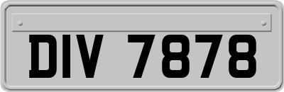 DIV7878