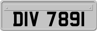 DIV7891