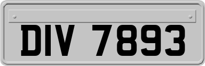 DIV7893