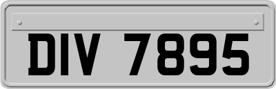 DIV7895