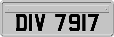 DIV7917