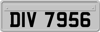 DIV7956