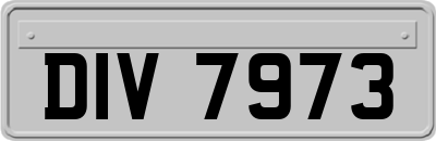 DIV7973