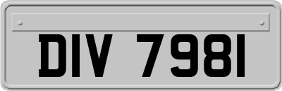 DIV7981
