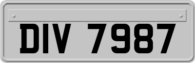 DIV7987