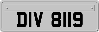DIV8119
