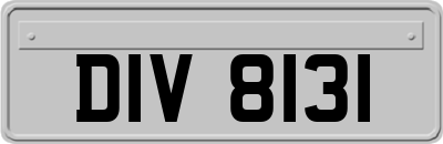 DIV8131