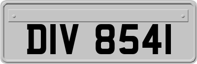 DIV8541