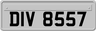 DIV8557