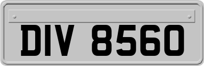 DIV8560
