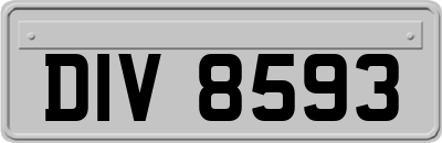 DIV8593