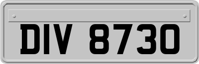 DIV8730