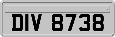 DIV8738