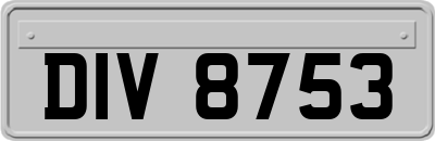 DIV8753