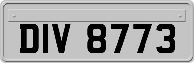 DIV8773