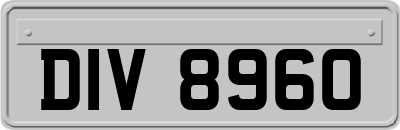 DIV8960