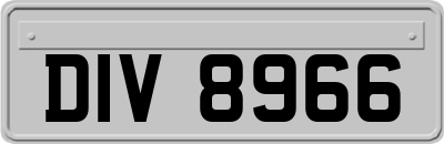DIV8966