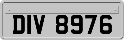 DIV8976