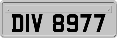 DIV8977