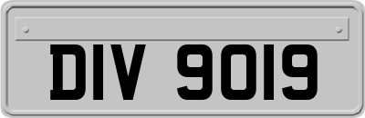 DIV9019