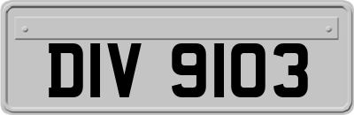 DIV9103