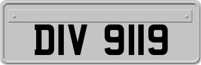 DIV9119