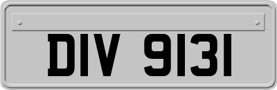 DIV9131