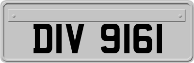 DIV9161