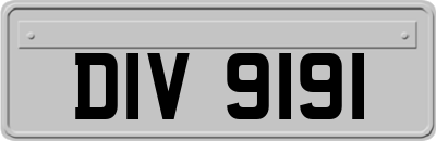 DIV9191