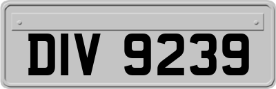 DIV9239