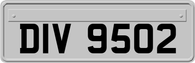 DIV9502