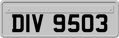 DIV9503