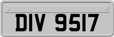 DIV9517